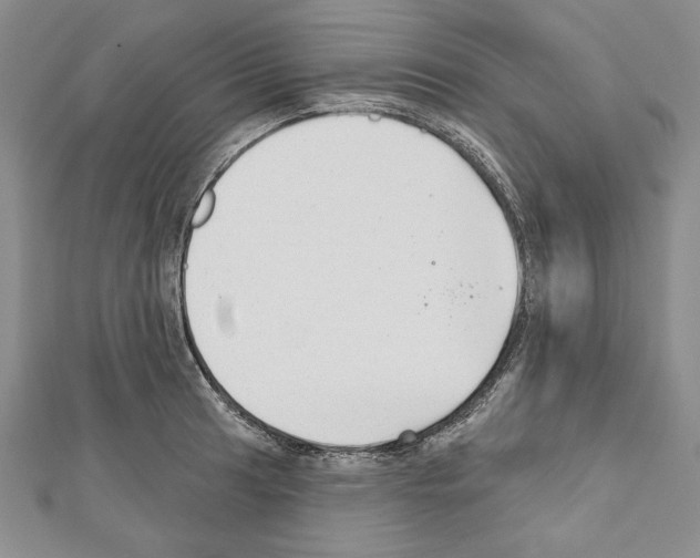 X0000111591041200908271005