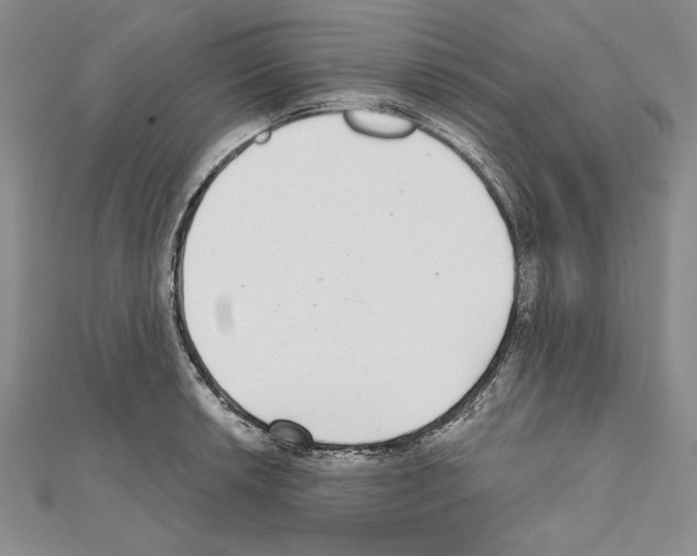 X0000111591042200908271005
