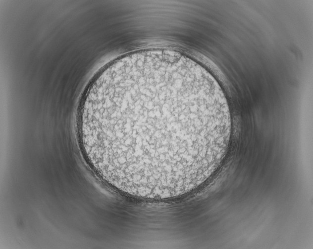 X0000111591043200908271005