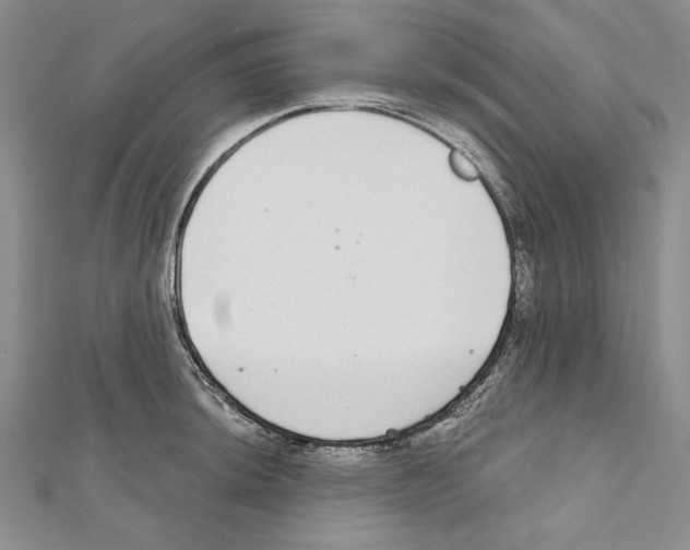 X0000111591044200908271005