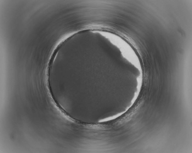 X0000111591045200908271005