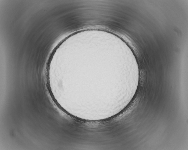 X0000111591046200908271005