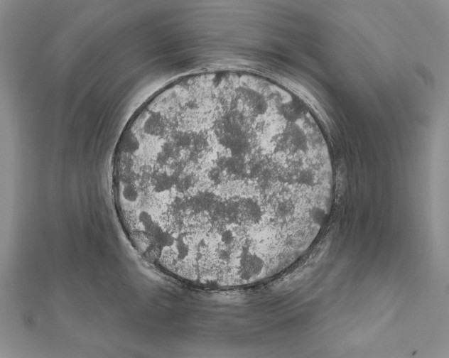 X0000111591047200908271005