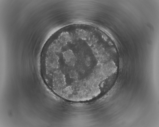 X0000111591048200908271005