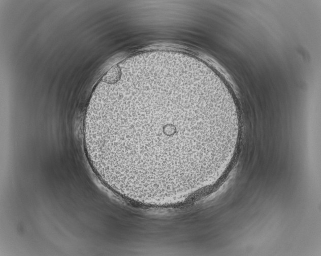 X0000111591049200908271005