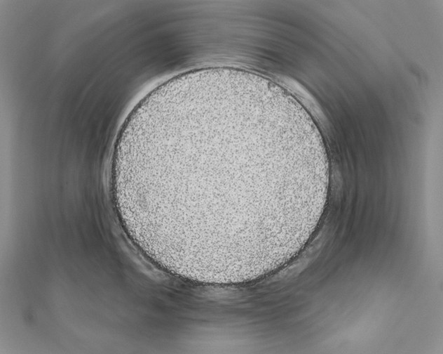 X0000111591052200908271005