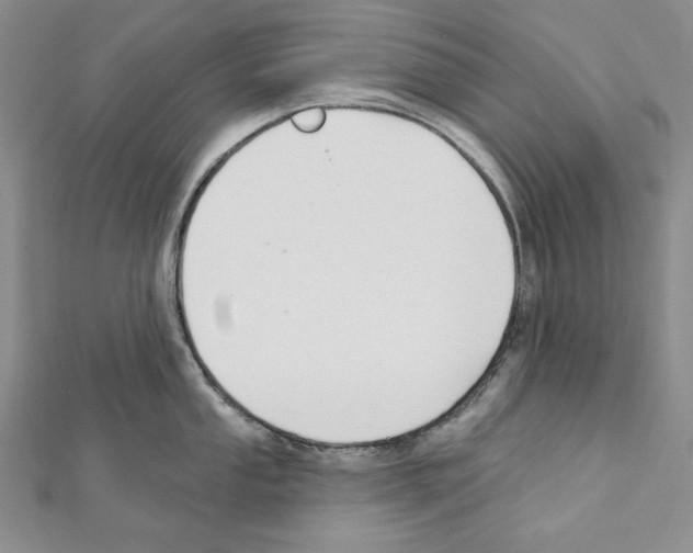 X0000111591053200908271005
