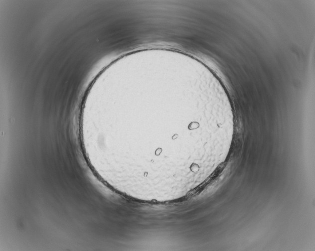 X0000111591054200908271005