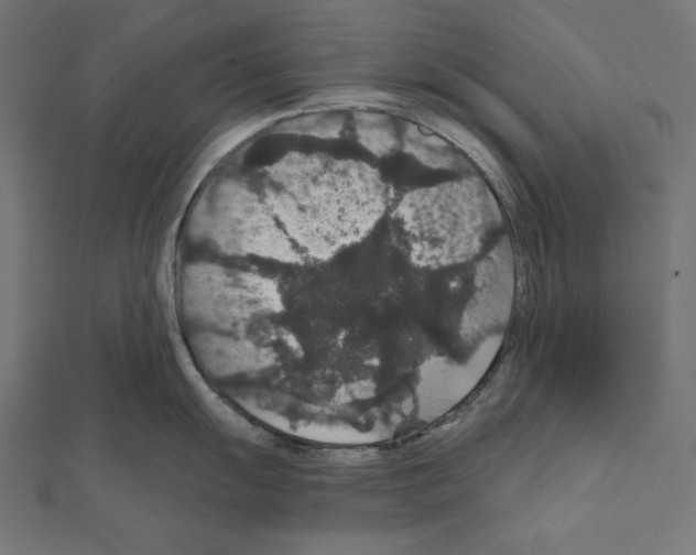 X0000111591055200908271005