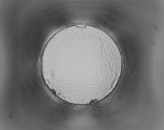X0000111591056200908271005