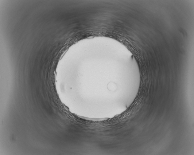 X0000111591057200908271005