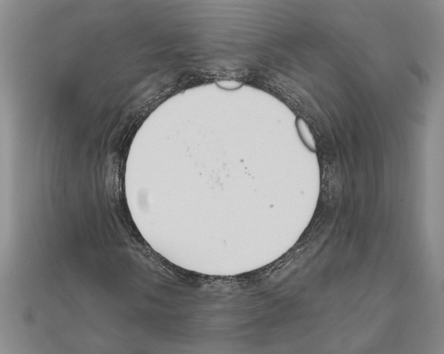 X0000111591058200908271005