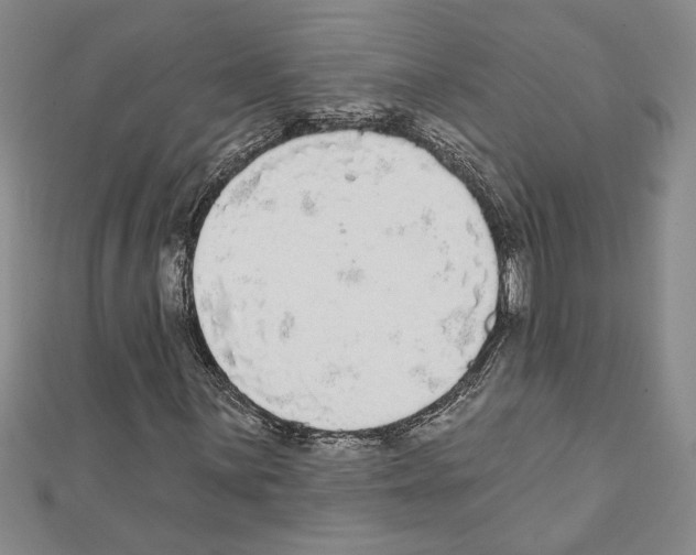 X0000111591059200908271005