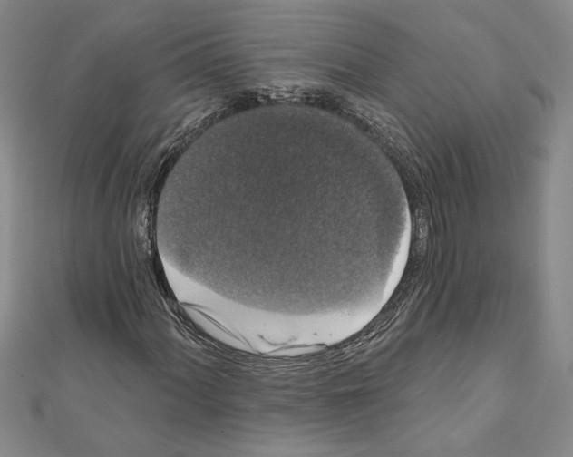X0000111591060200908271005