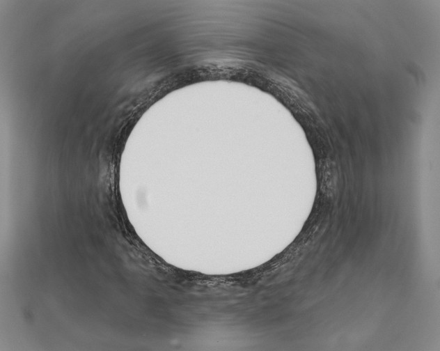 X0000111591061200908271005