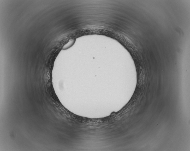 X0000111591062200908271005