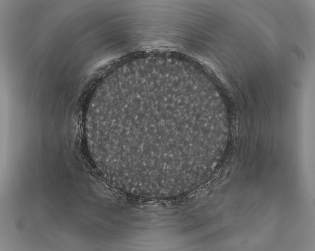X0000111591063200908271005
