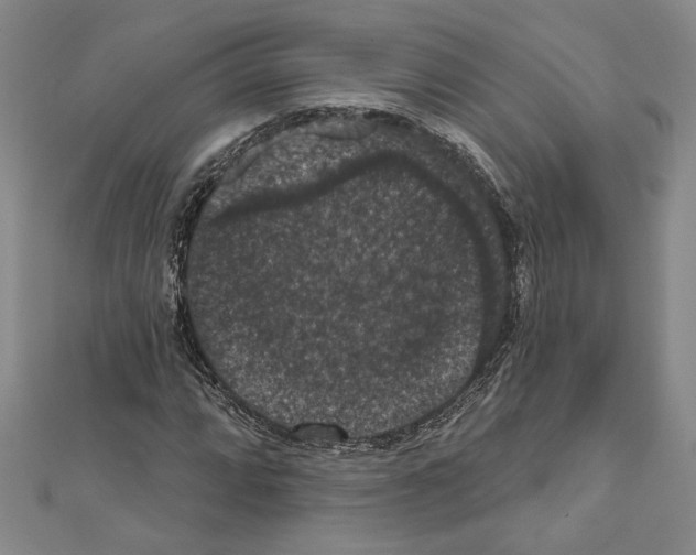 X0000111591064200908271004