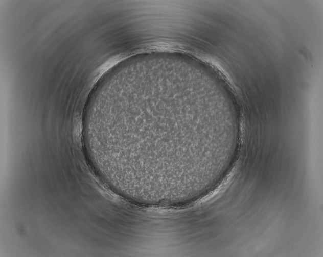 X0000111591065200908271004