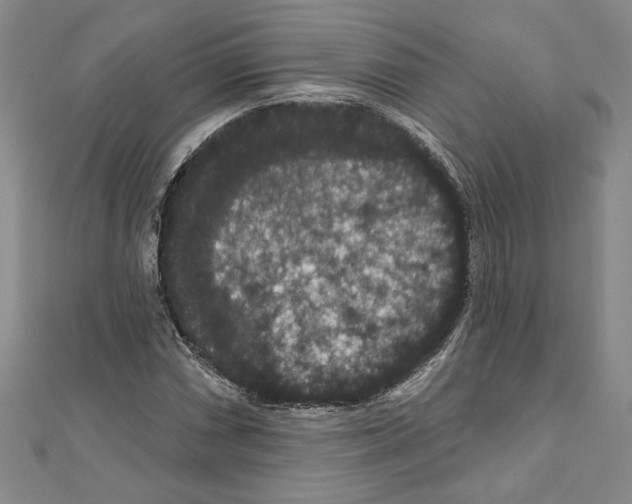 X0000111591066200908271004