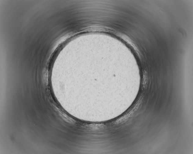 X0000111591067200908271004