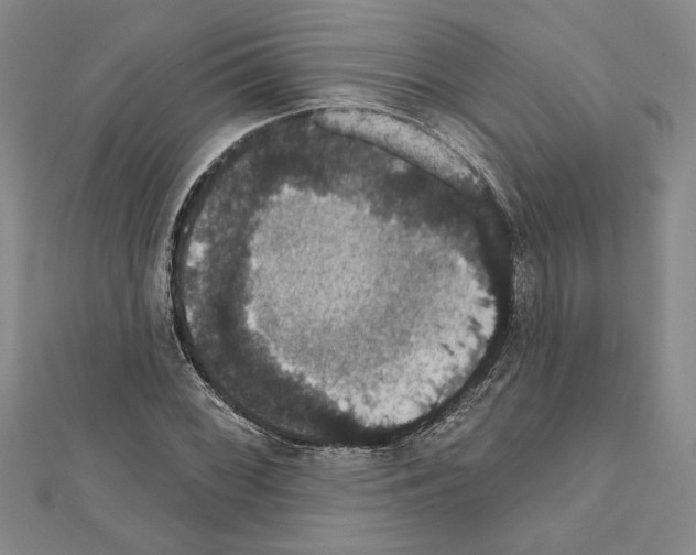 X0000111591068200908271004
