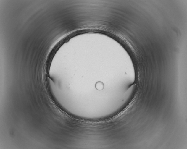 X0000111591069200908271004