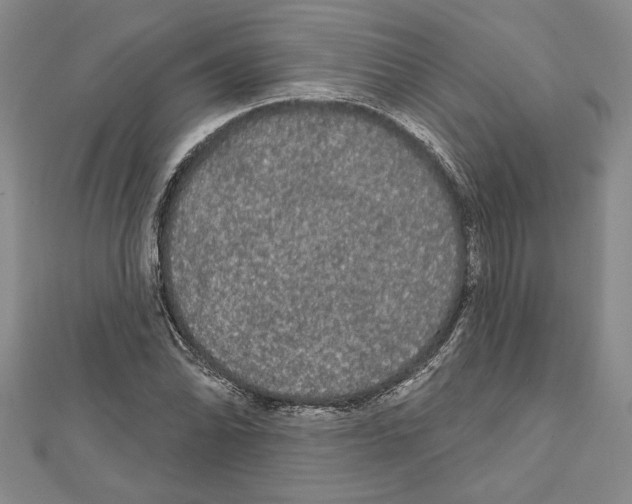 X0000111591070200908271004