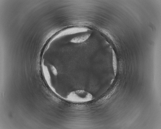 X0000111591071200908271004