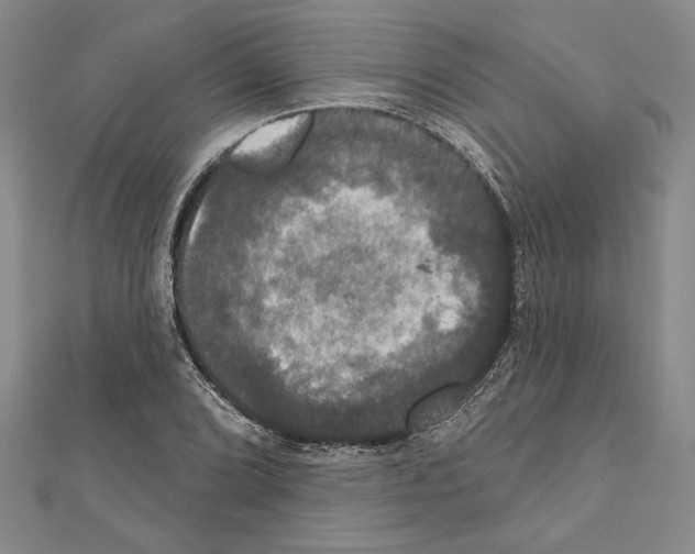 X0000111591072200908271004