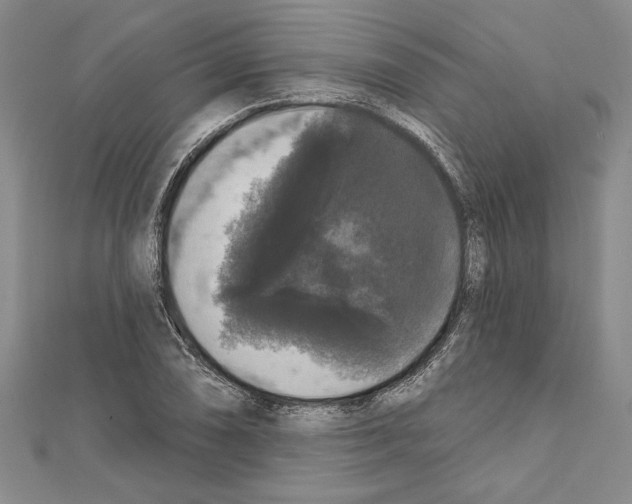X0000111591074200908271004