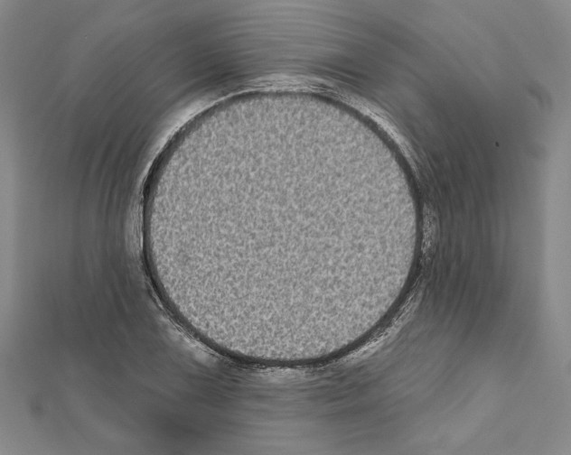 X0000111591075200908271004