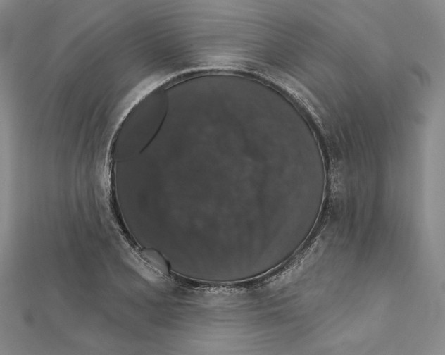 X0000111591077200908271004