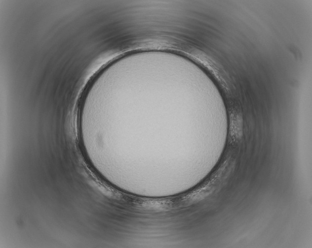 X0000111591078200908271004