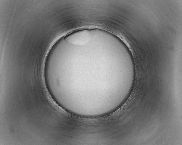 X0000111591080200908271004