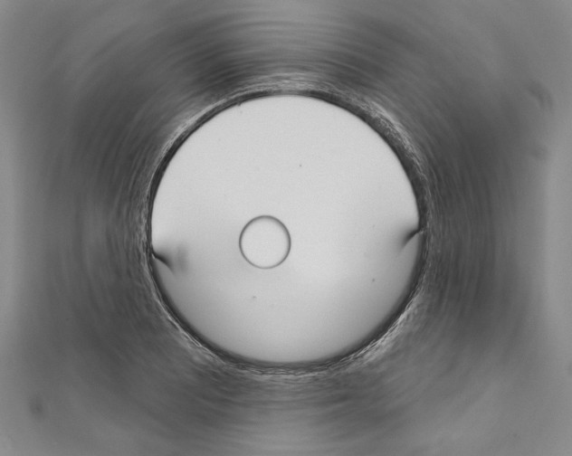 X0000111591081200908271004