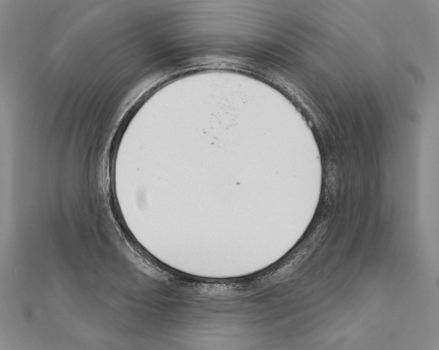 X0000111591082200908271004