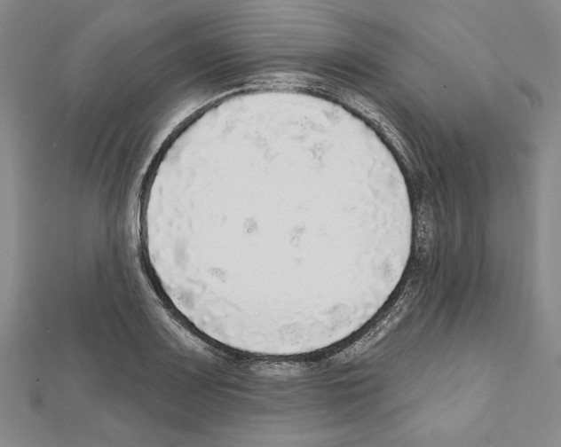 X0000111591083200908271004
