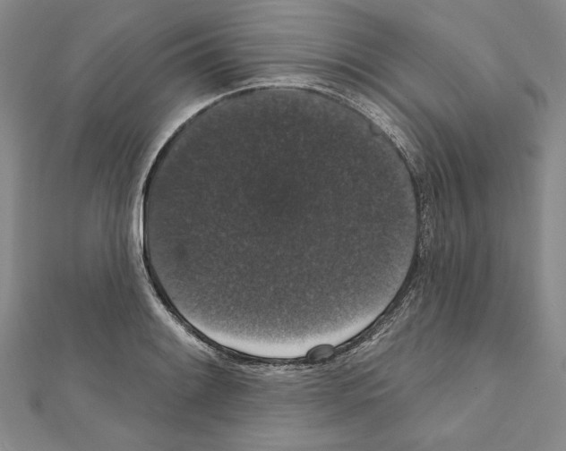 X0000111591084200908271004