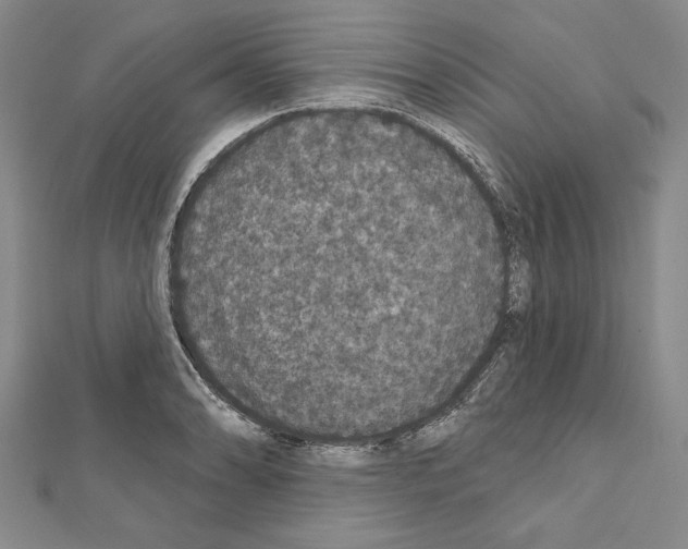X0000111591086200908271004