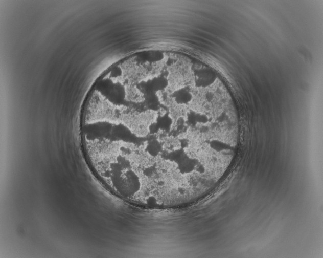 X0000111591087200908271004