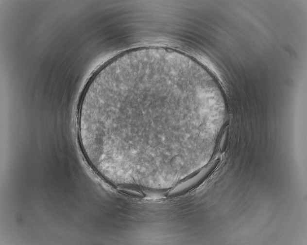 X0000111591088200908271004