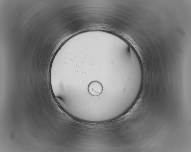 X0000111591089200908271004