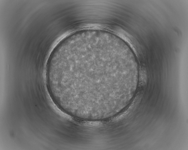 X0000111591090200908271004