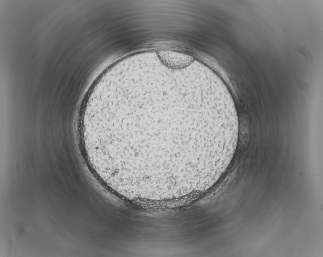 X0000111591091200908271004