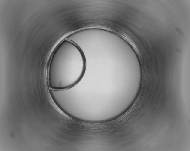 X0000111591092200908271004