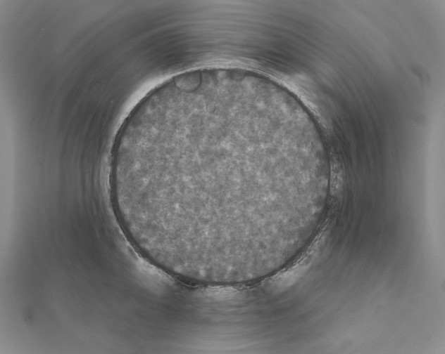 X0000111591094200908271004