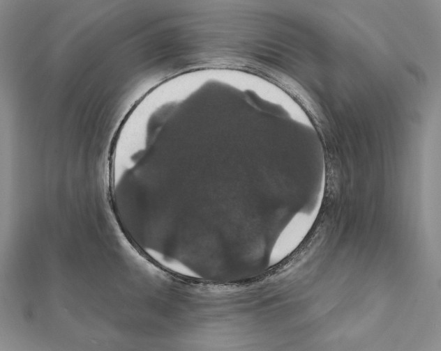 X0000111591095200908271004