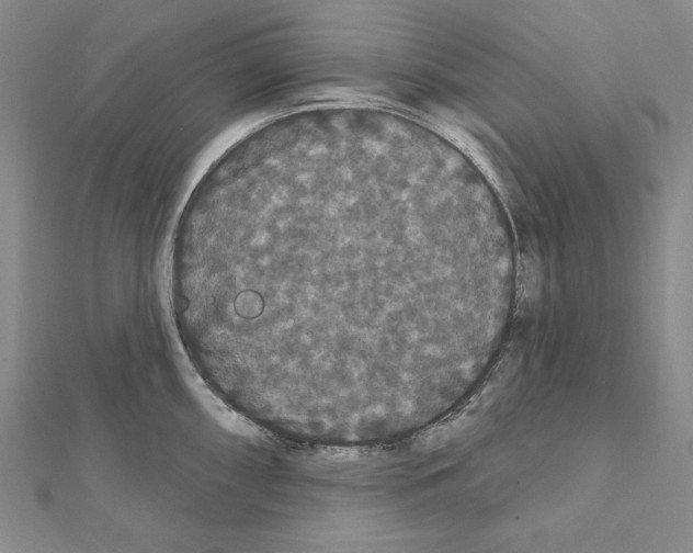 X0000111591098200908271004