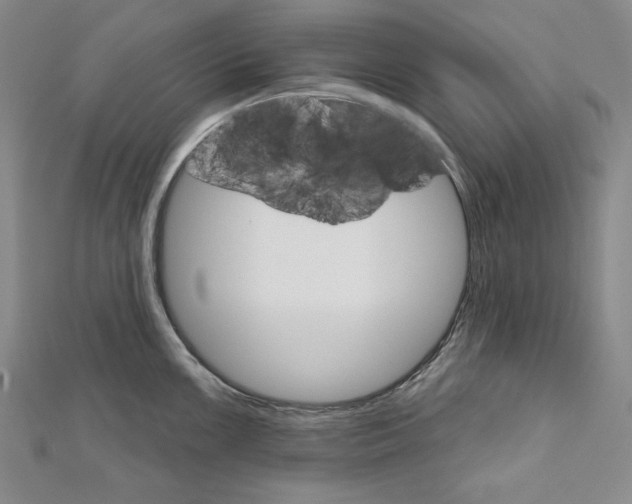 X0000111591099200908271004